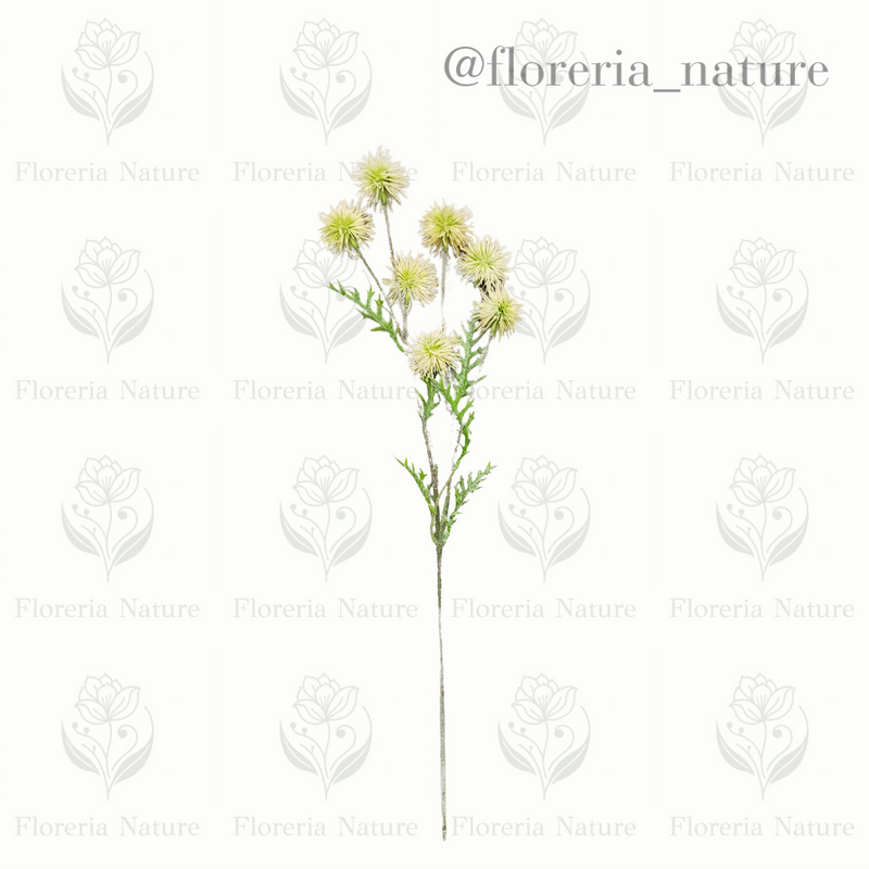Complemento pelotitas (0785)
