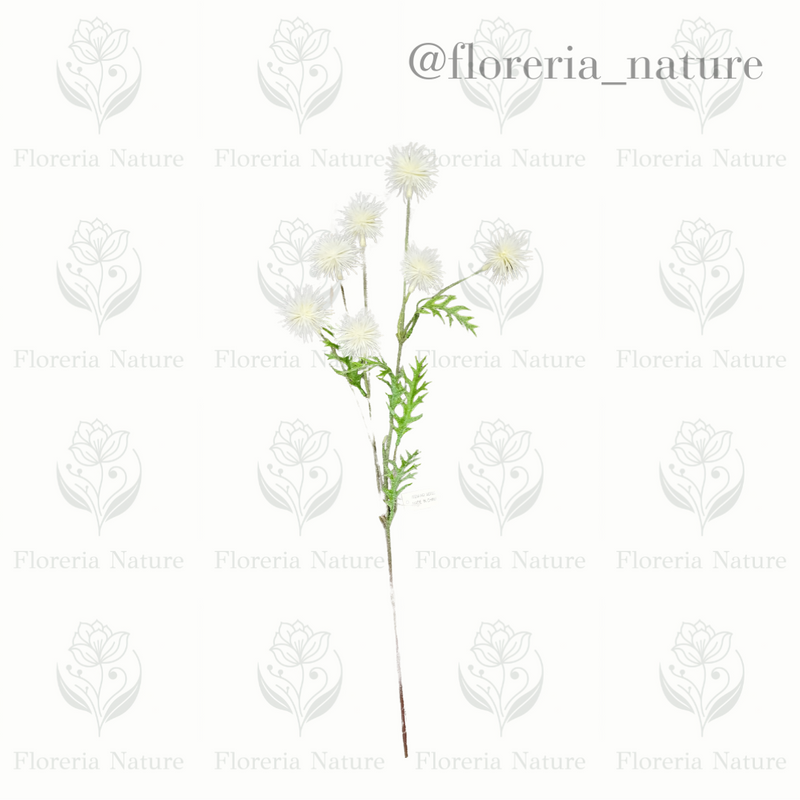 Complemento pelotitas (0785)