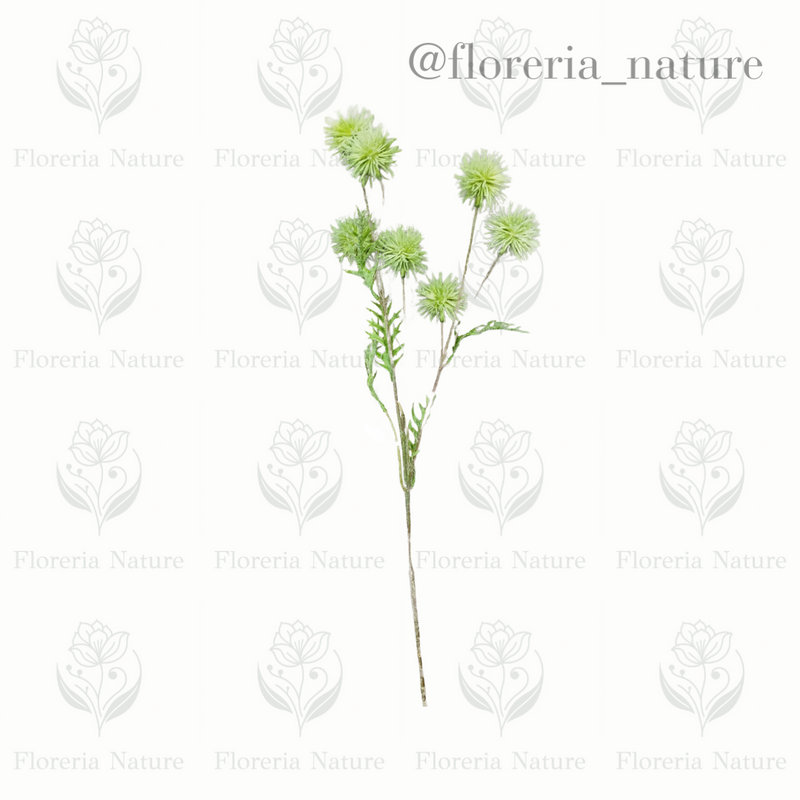 Complemento pelotitas (0785)