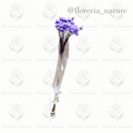 Flor Natural Desidatrado (0183-1)