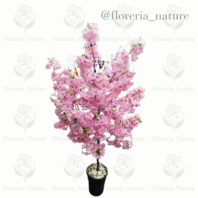 Planta Sakura 1.9 (0296-2)