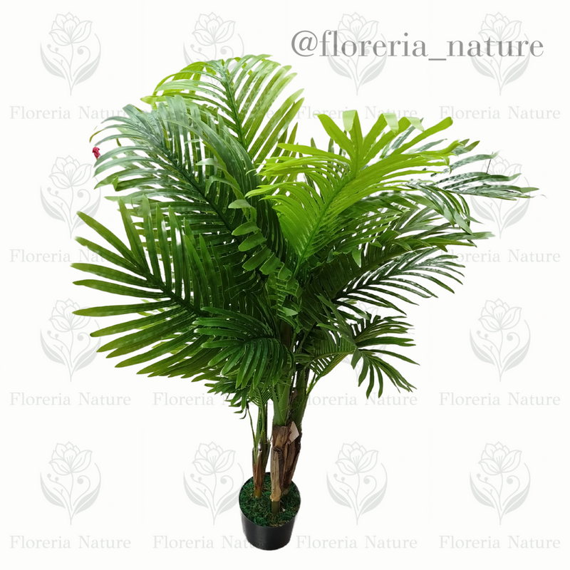 Planta Palmera M (1028-135)