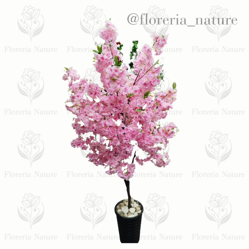 Planta Sakura 1.9 (0296-2)