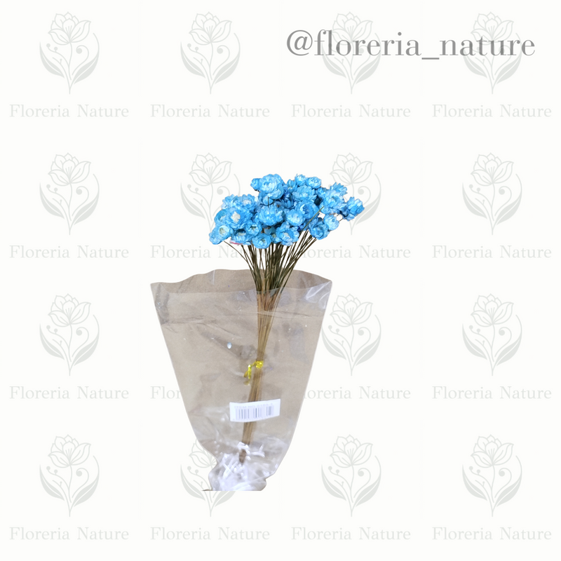 Flor Natural Desidatrado (0183-1)