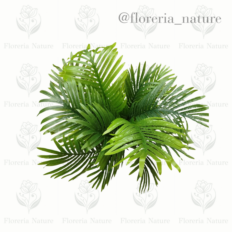 Planta Palmera M (1028-135)