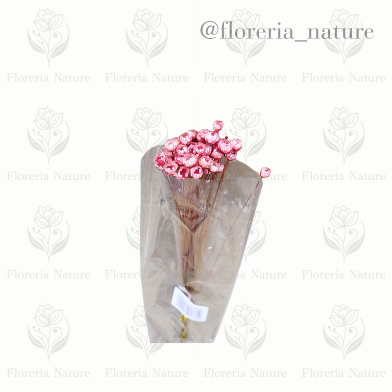 Flor Natural Desidatrado (0183-1)