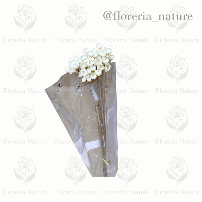 Flor Natural Desidatrado (0183-1)