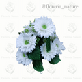 Gerbera c/9  (0398-5)